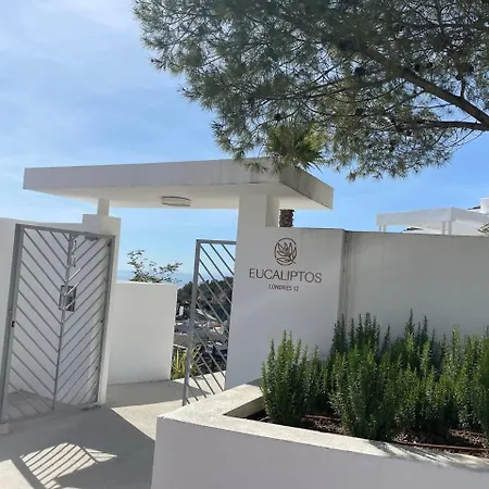 Precioso En Palo Alto104 Euc * Охен